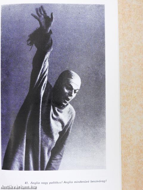 Egy őrült naplója (dedikált példány)