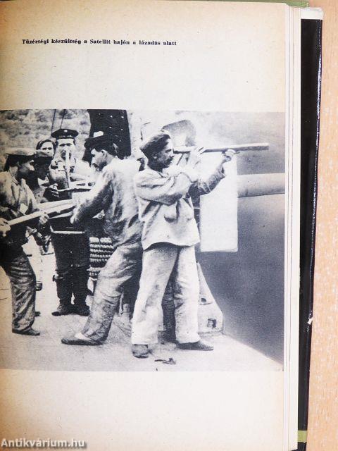 Az őszirózsás forradalom