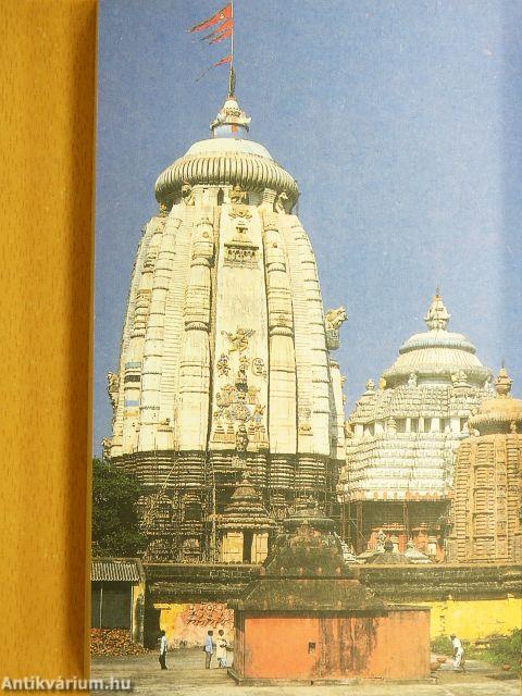 Találkozás az Istenekkel