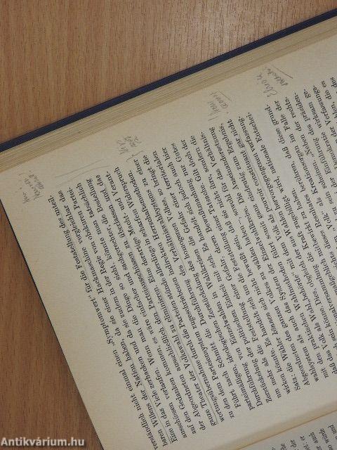 Ausnahmezustand und Norm