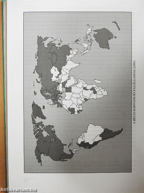 A nemzetközi gazdasági kapcsolatok joga