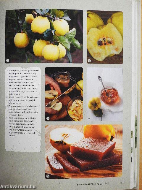 Gyümölcstermesztés