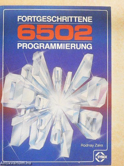 Fortgeschrittene 6502-Programmierung