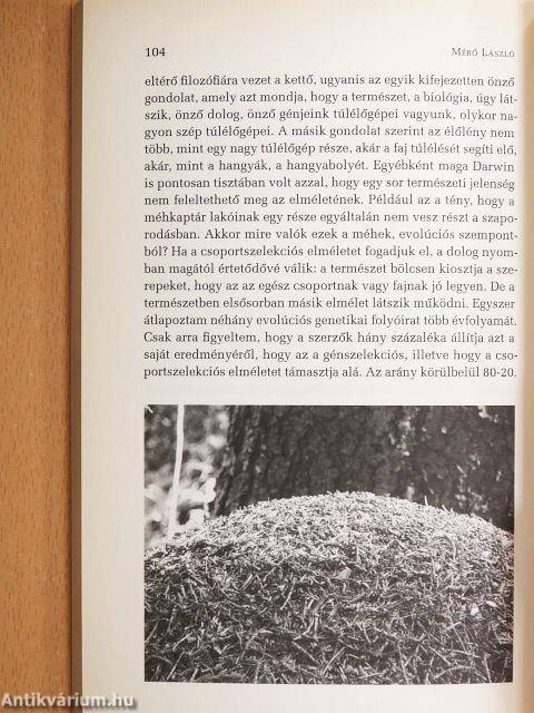 Mindörökké evolúció