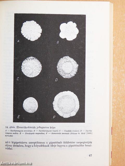 Mikrobiológiai vizsgálati módszerek az élelmiszeriparban 2.