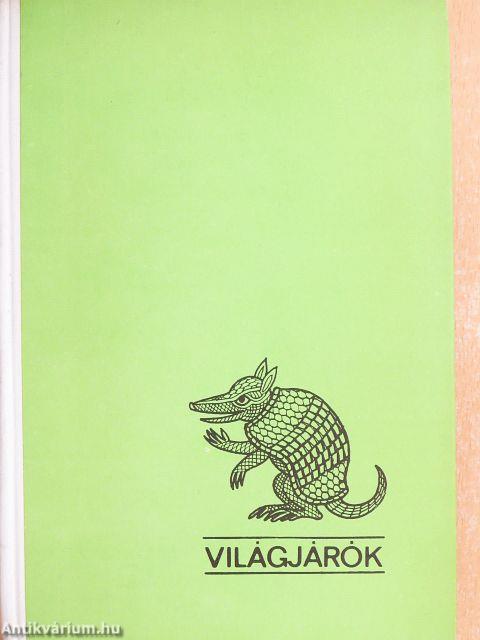 Argentína viharszünetben