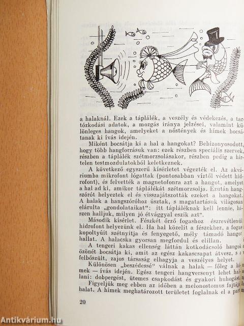 Az információról mindenkinek