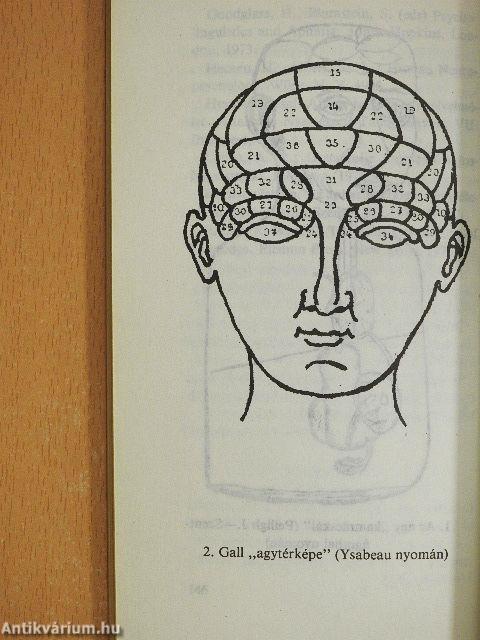 Mi a neuropszichológia?