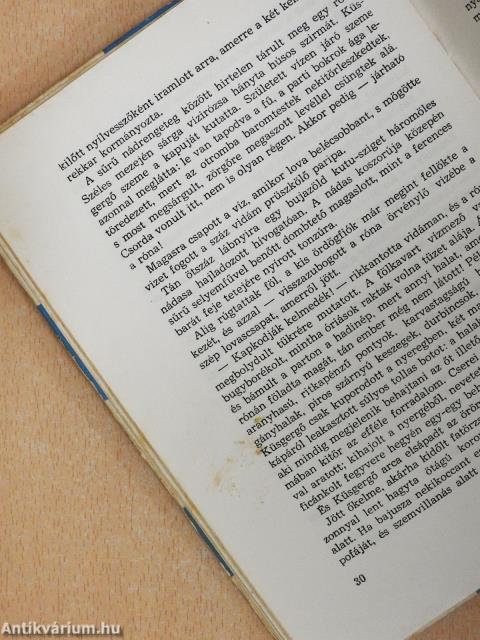 A fekete lovag (dedikált példány)