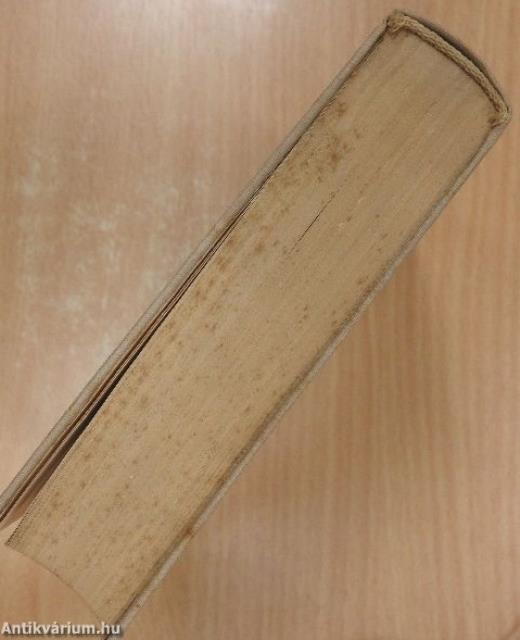 A fények rézsűt esnek (dedikált példány)