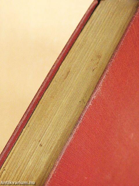 Szélvihar Jamaikában