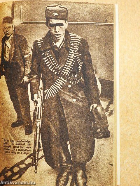 Ellenforradalmi erők a magyar októberi eseményekben III.