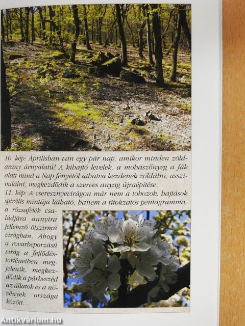 Fűszeres-virágos kalendárium (dedikált példány)