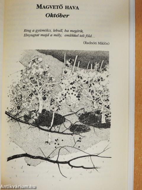 Fűszeres-virágos kalendárium (dedikált példány)