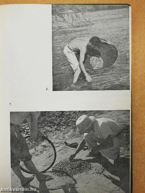 Brazília őserdeiben