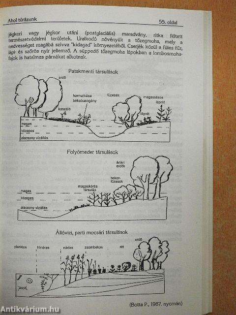 Zöld kalandra fel! I-II.