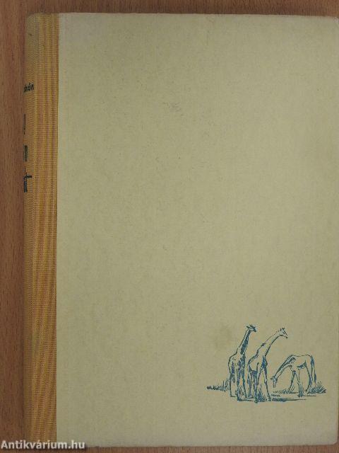 Így láttam Afrikát (dedikált példány)