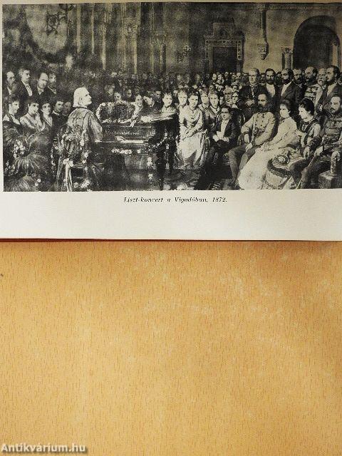 A magyar muzsika mesterei