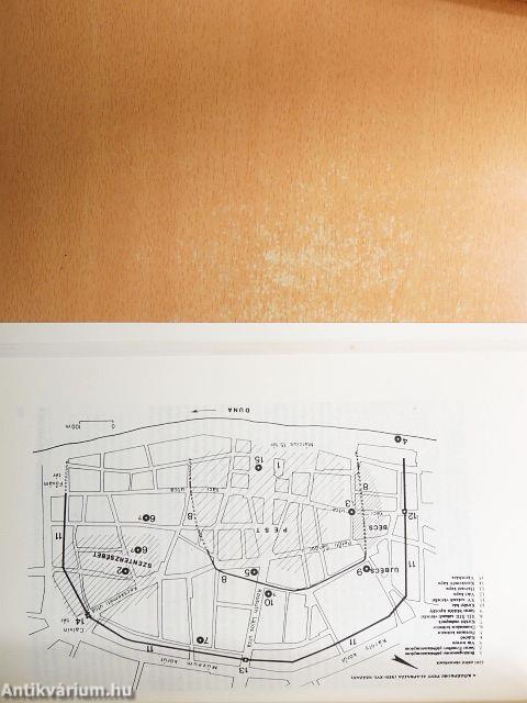 Társadalomtörténeti tanulmányok a közeli és a régmúltból