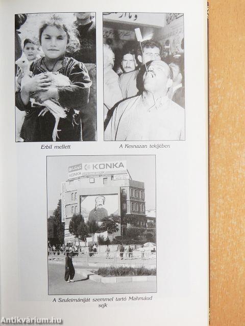 Ezer lázadás, ezer sóhaj