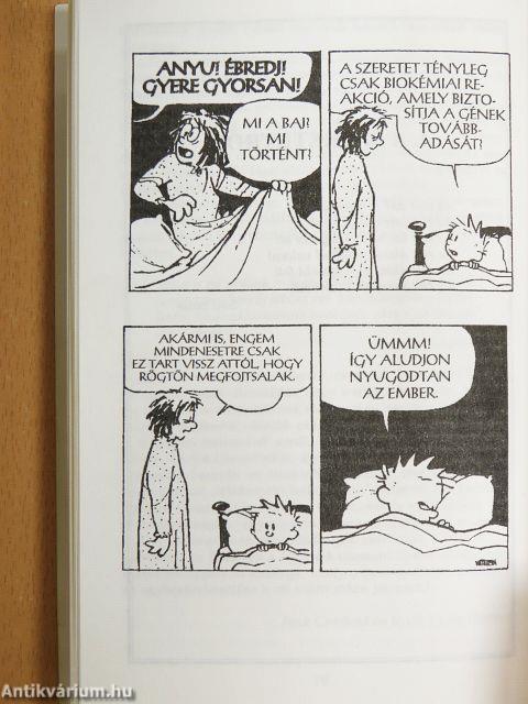 Erőleves a Léleknek 2.