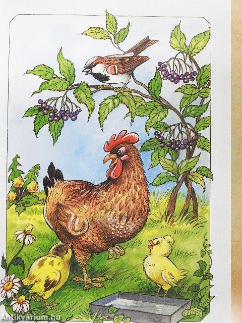 Róka koma és a nyulacskák