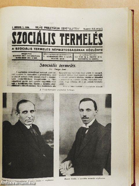 A Magyar Tanácsköztársaság 1919