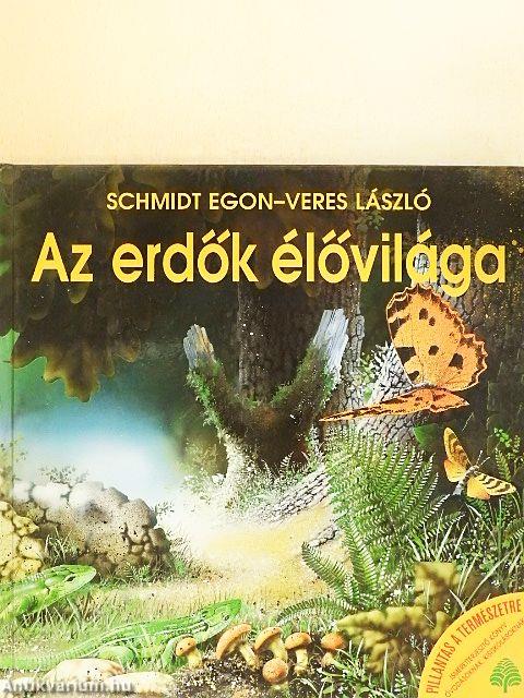 Az erdők élővilága