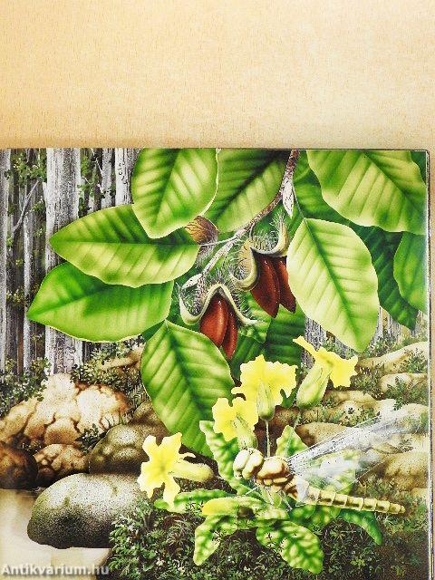 Az erdők élővilága