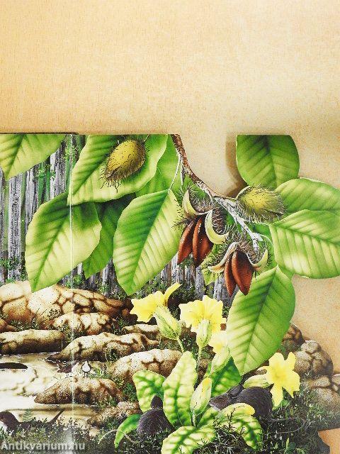 Az erdők élővilága