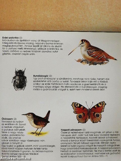 Az erdők élővilága