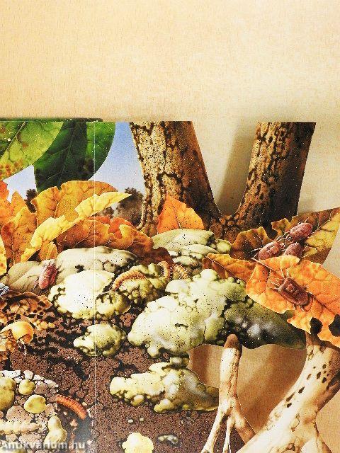 A talaj élővilága