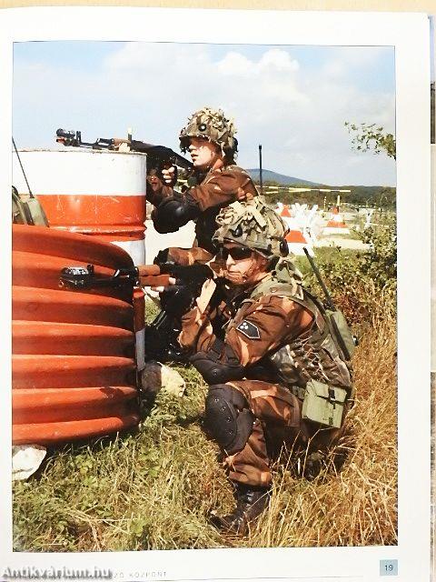 Várpalotai gyakorlatok