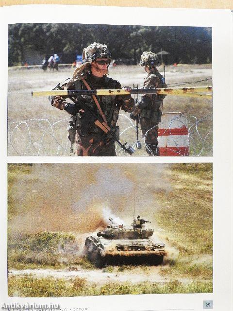 Várpalotai gyakorlatok