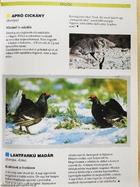 Az állatvilág érdekességei