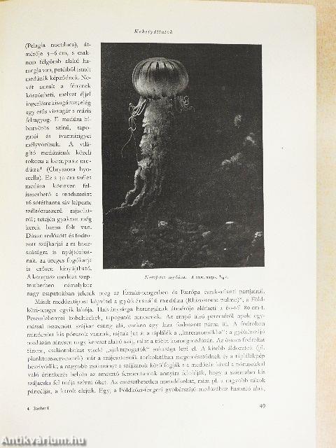 Brehm - Az állatok világa I-IV.