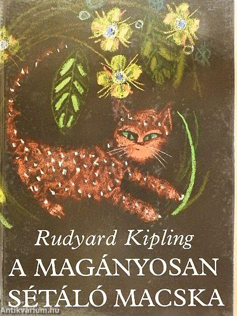 A magányosan sétáló macska