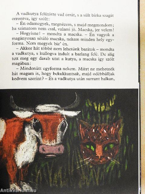 A magányosan sétáló macska