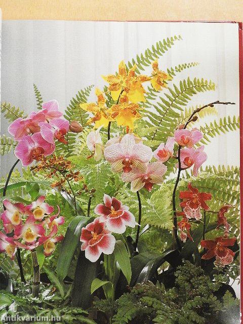 Így lesznek a legzöldebbek és legvirágosabbak a szobanövények