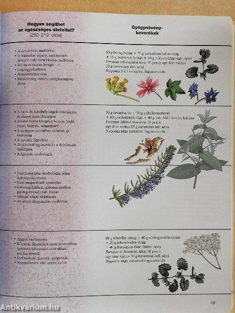 Gyógyító természet