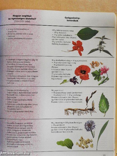 Gyógyító természet