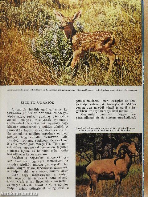 A természet világa