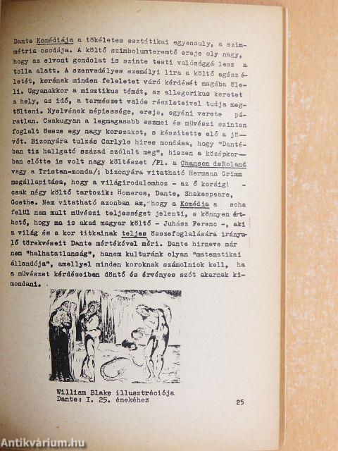 Irodalmi és nyelvi közlemények 1965/2.