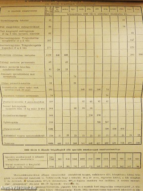 Az almafák rendszeres termésének biztosítása