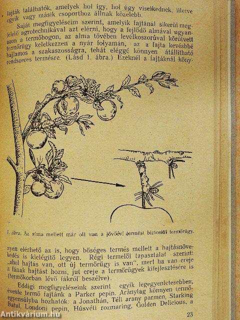 Az almafák rendszeres termésének biztosítása