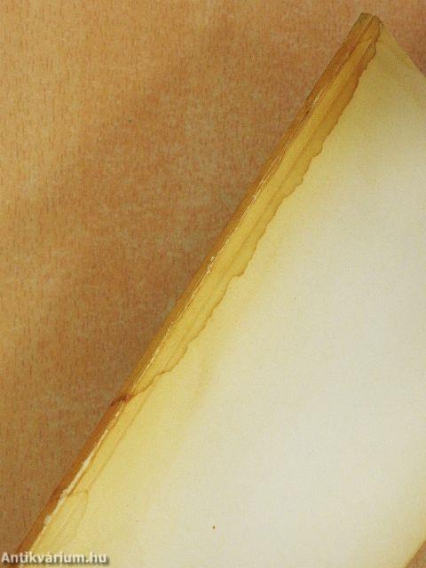 A gondolkodás és a beszéd