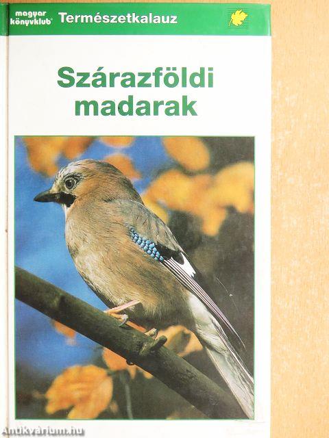 Szárazföldi madarak