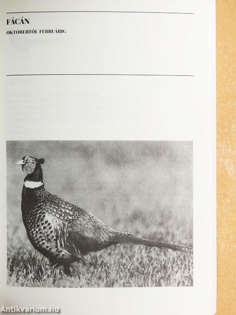 A vadász néha főz is