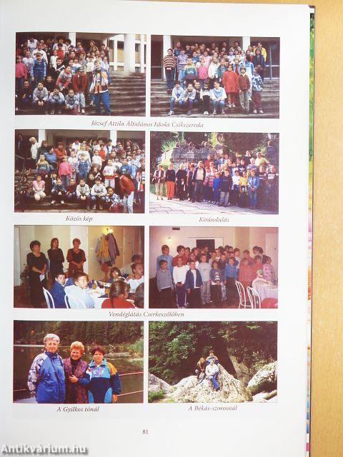 50 éves a Cserkeszőlői Általános Iskola