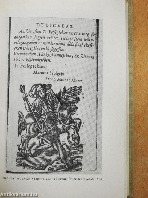 A kegyes olvasóhoz!